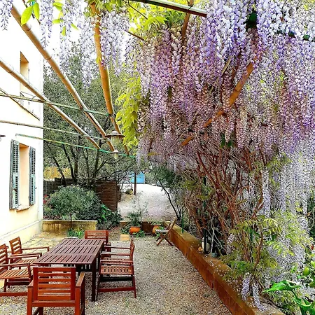 Ferienhaus With Swimming Pool