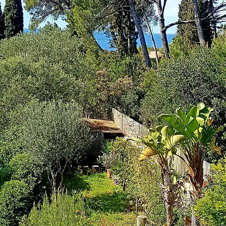 With Swimming Pool Ferienhaus Carqueiranne